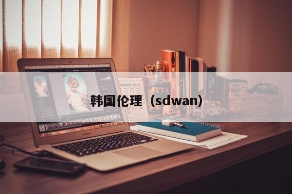 韩国伦理(sdwan)
