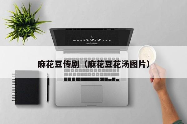 麻花豆传剧(麻花豆花汤图片)