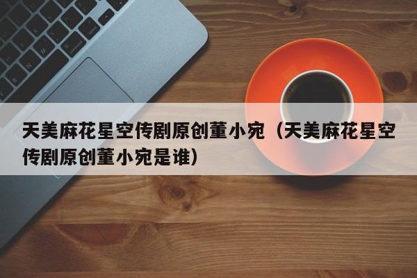天美麻花星空传剧原创董小宛(天美麻花星空传剧原创董小宛是谁)